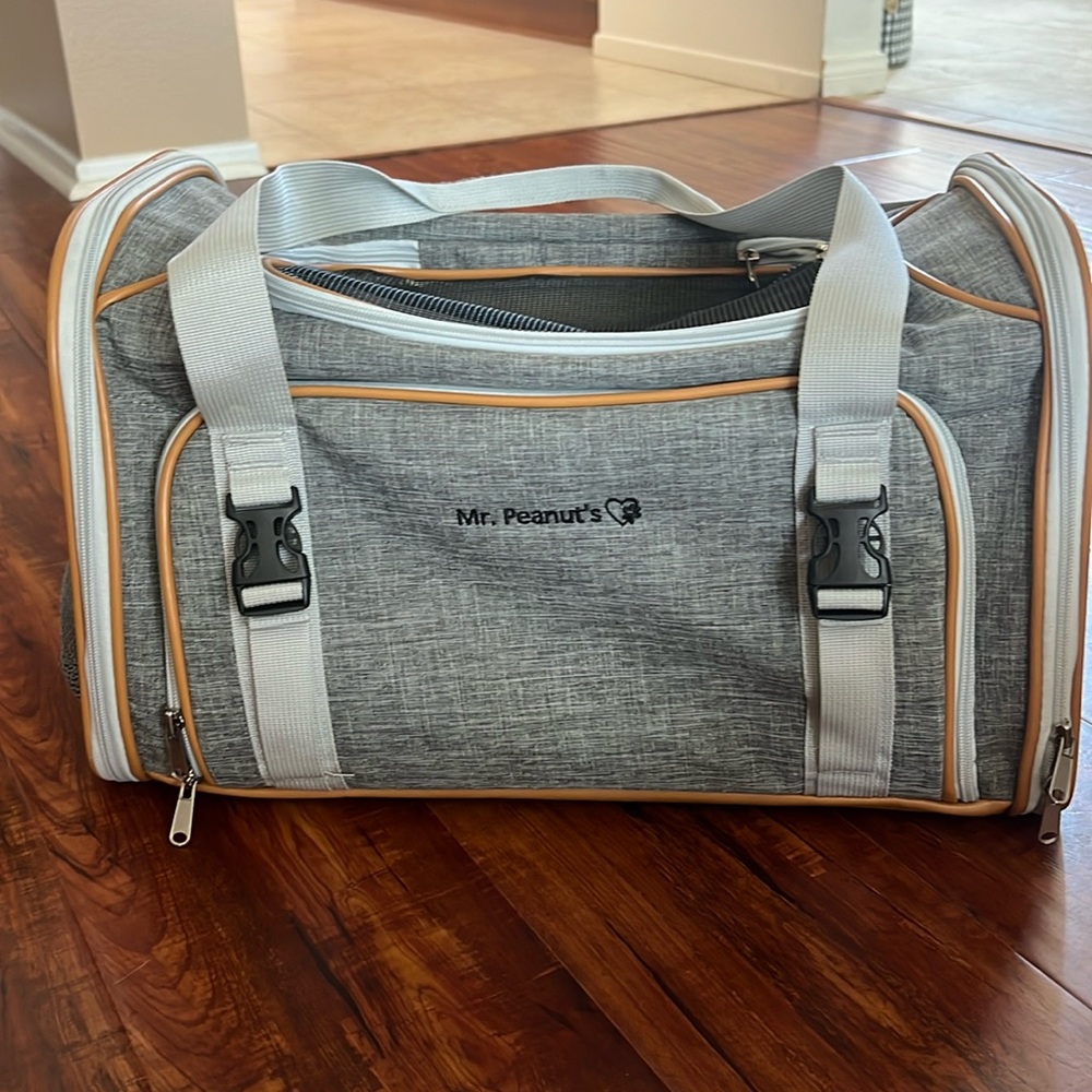 Me. Peanuts dog carrier